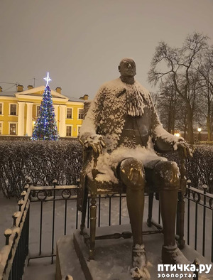 ����: ���������� ��������