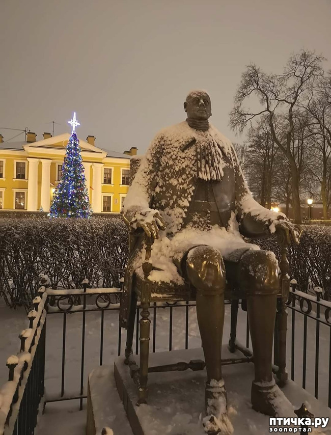 ���� 1: ���������� ��������