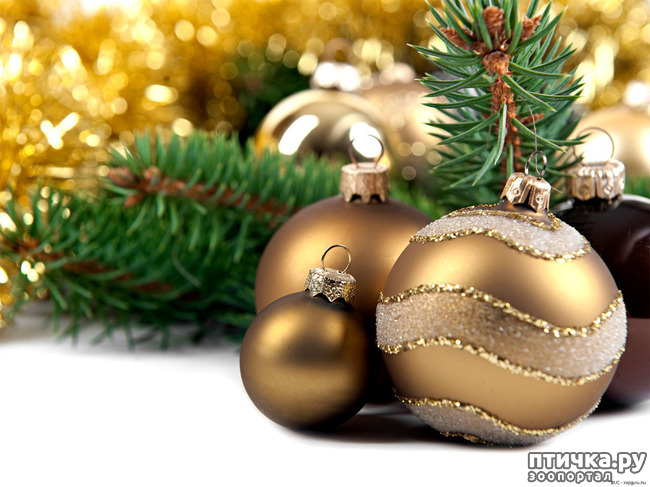 ���� 3: �������� ����� ���������� � �����