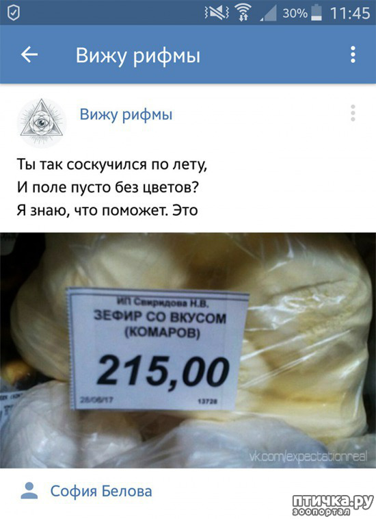 ���� 2: ���������� ����