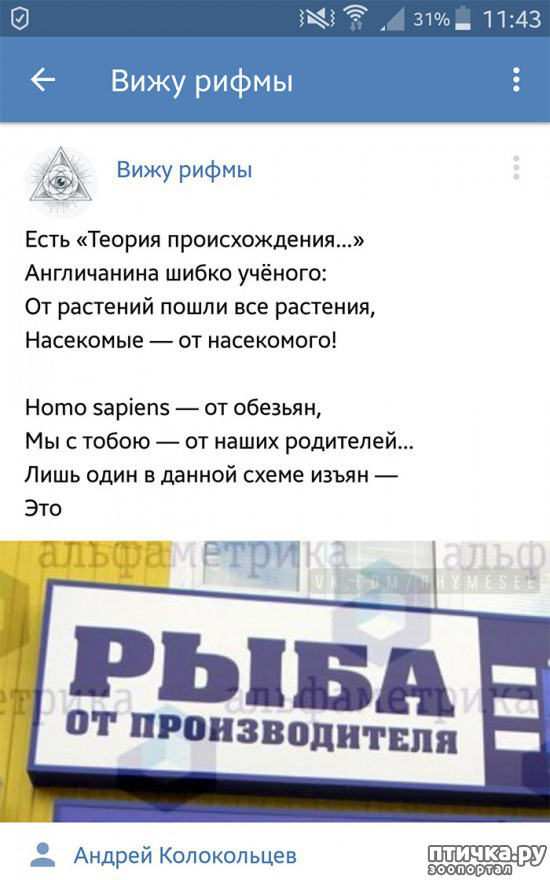 ���� 3: ���������� ����