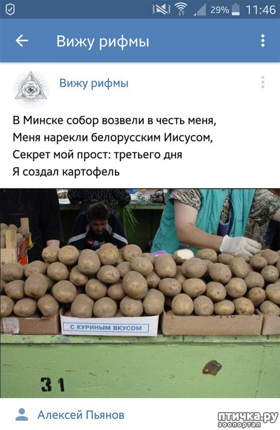 ���� 5: ���������� ����