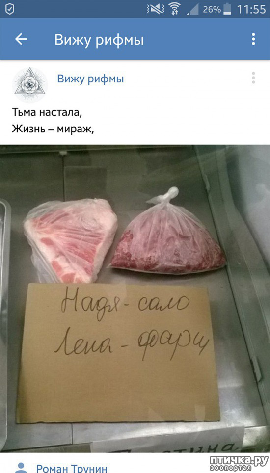 ���� 7: ���������� ����