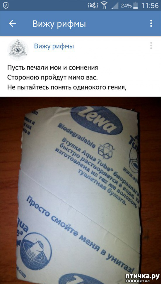 ���� 10: ���������� ����