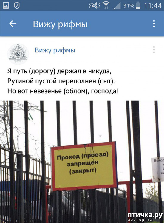 ���� 11: ���������� ����