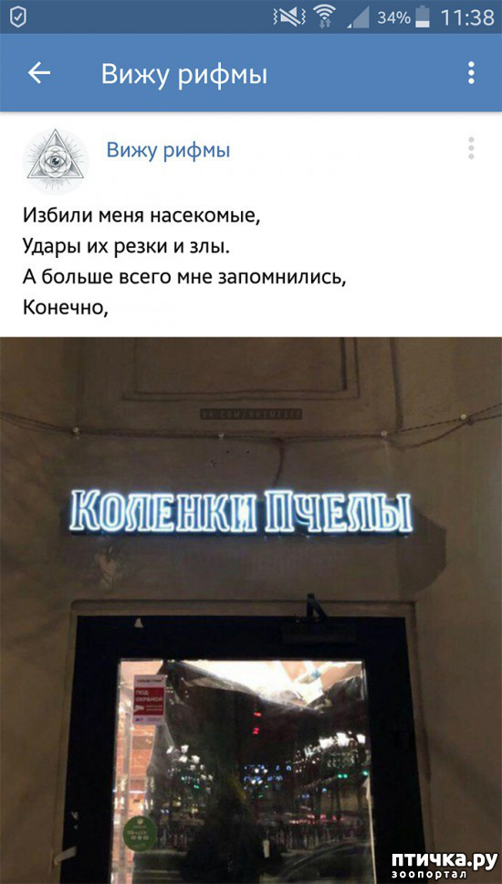 ���� 12: ���������� ����