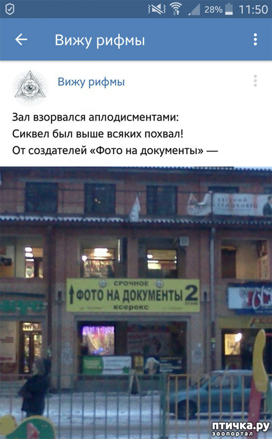 ���� 15: ���������� ����