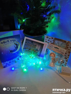 ����: ���������� ������ �� �����!