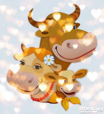 ���� 7: � ����������� ����� ����!