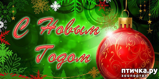 ���� 4: ���������� ����