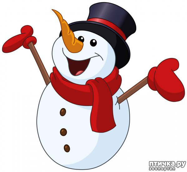 ���� 1: ���������� ����