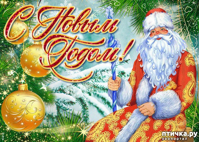 ���� 1: HAPPY NEW YEAR!!!