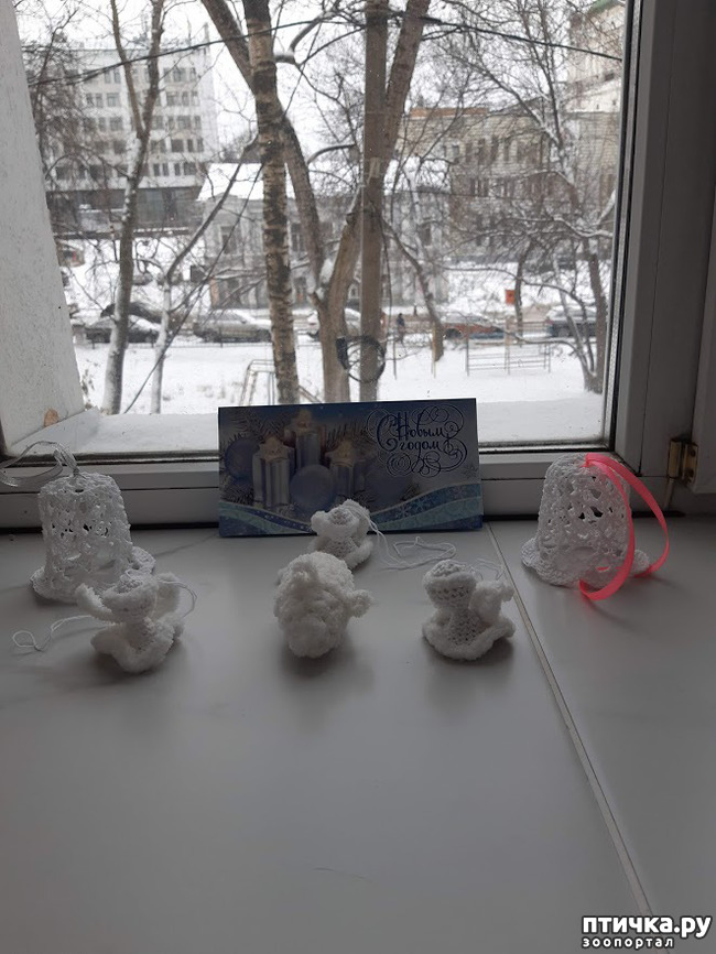 ���� 2: ����� ����������, ��� �����!