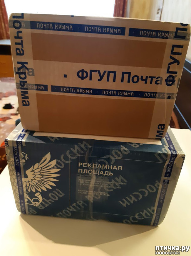 ���� 1: ����� ����������, ��� �����!