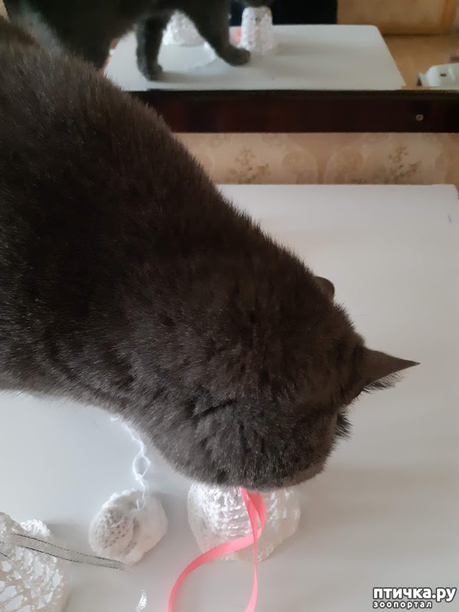 ���� 3: ����� ����������, ��� �����!