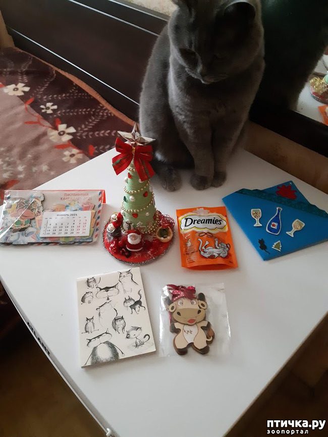 ���� 5: ����� ����������, ��� �����!