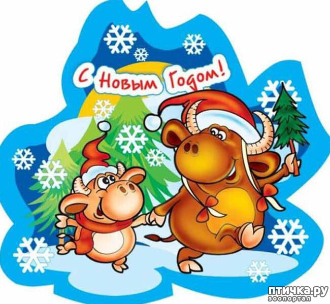 ���� 3: ���! � �� ���� ����� ������ �� ����������!