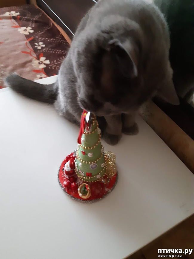 ���� 6: ����� ����������, ��� �����!