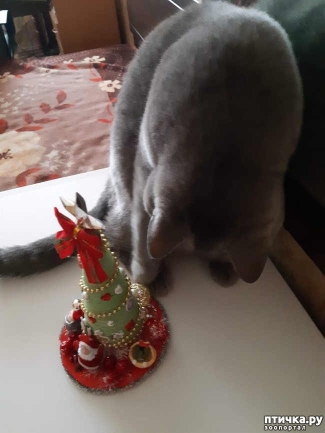 ���� 7: ����� ����������, ��� �����!