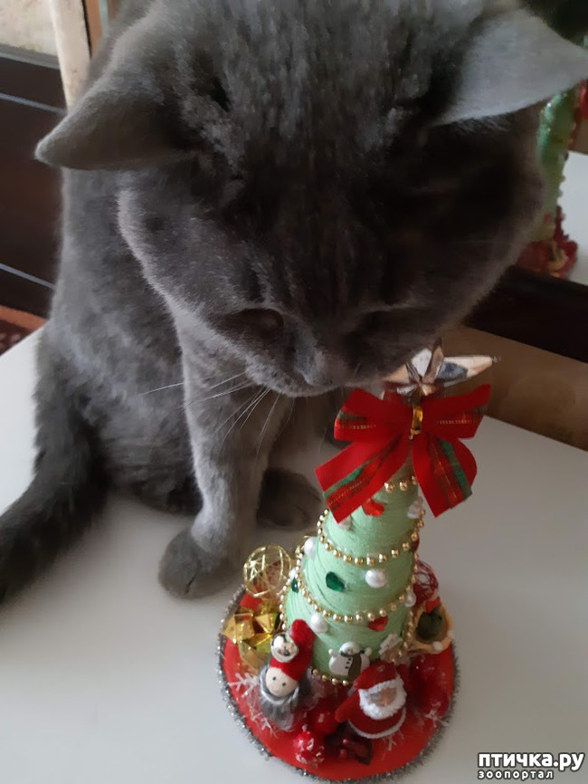 ���� 8: ����� ����������, ��� �����!