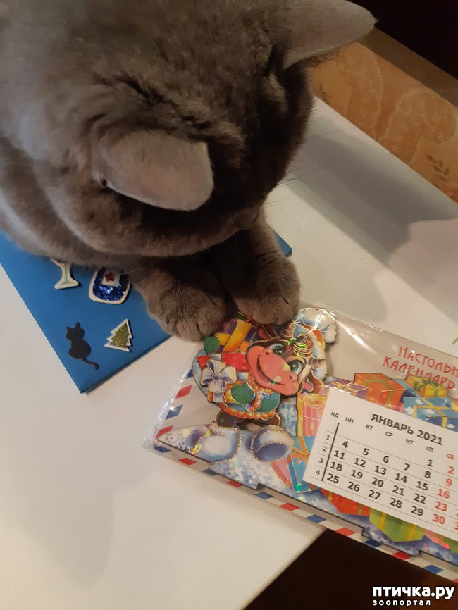 ���� 9: ����� ����������, ��� �����!