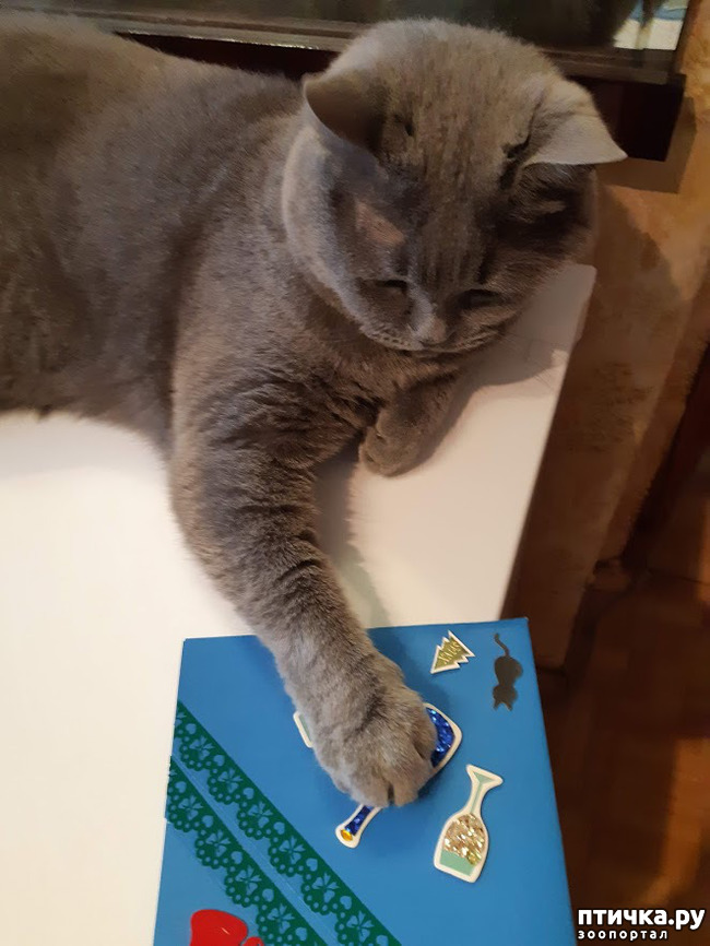 ���� 10: ����� ����������, ��� �����!