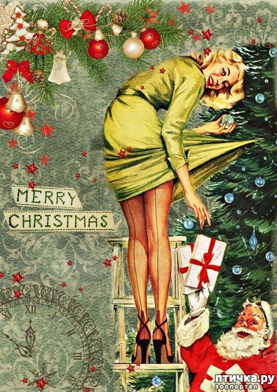 ���� 3: ����������