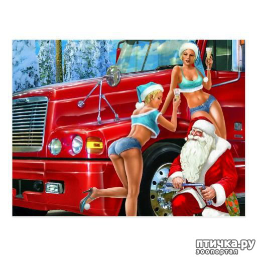 ���� 4: ����������