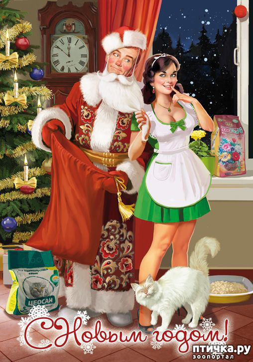 ���� 6: ����������