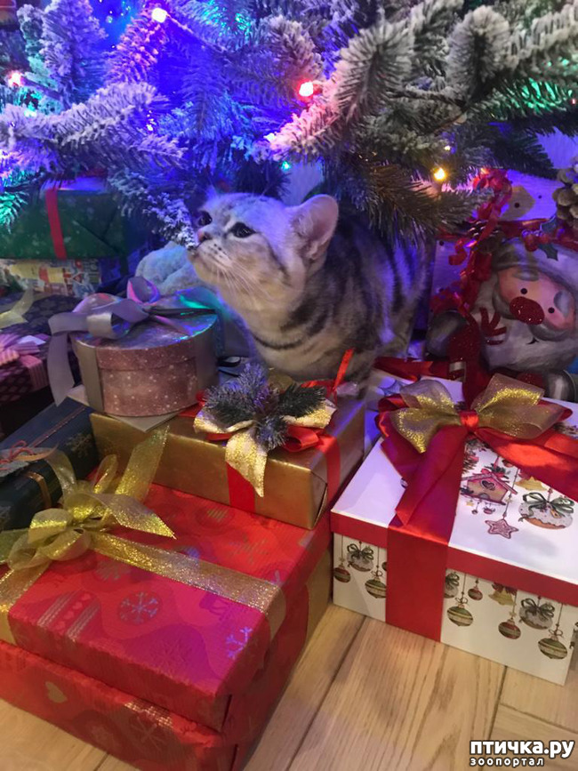 ���� 4: � ��� ����� ���!! ������������ ���������������.