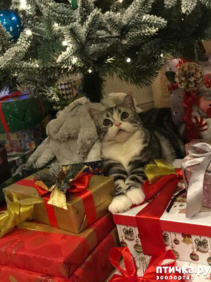 ����: � ��� ����� ���!! ������������ ���������������.