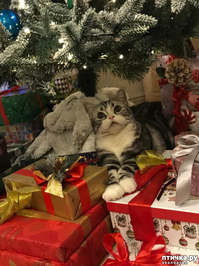 ���� 1: � ��� ����� ���!! ������������ ���������������.