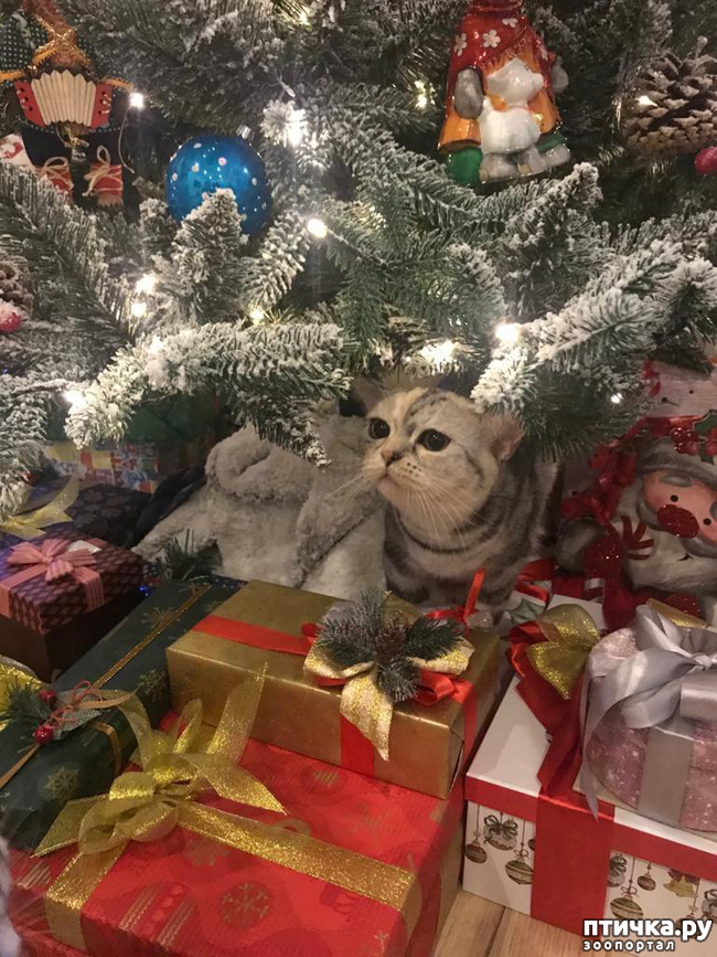 ���� 2: � ��� ����� ���!! ������������ ���������������.