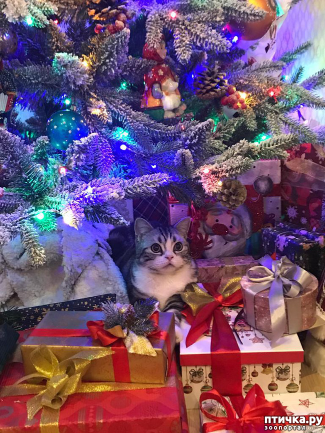 ���� 3: � ��� ����� ���!! ������������ ���������������.