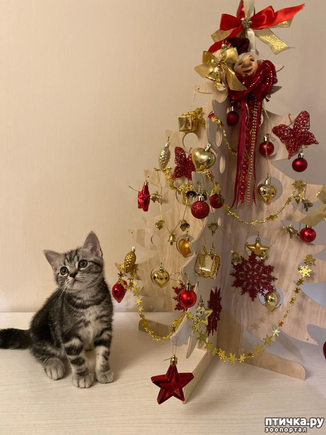 ���� 6: � ��� ����� ���!! ������������ ���������������.