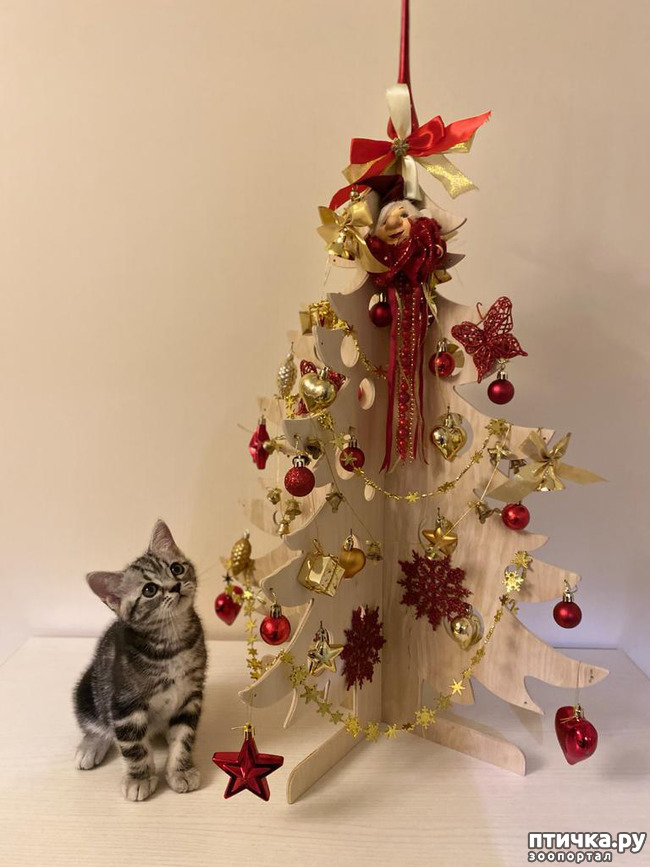 ���� 5: � ��� ����� ���!! ������������ ���������������.