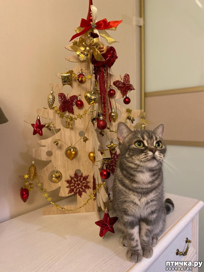 ���� 7: � ��� ����� ���!! ������������ ���������������.