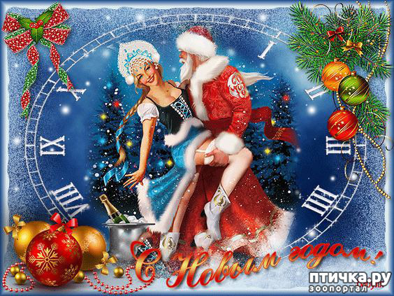 ���� 7: ����������