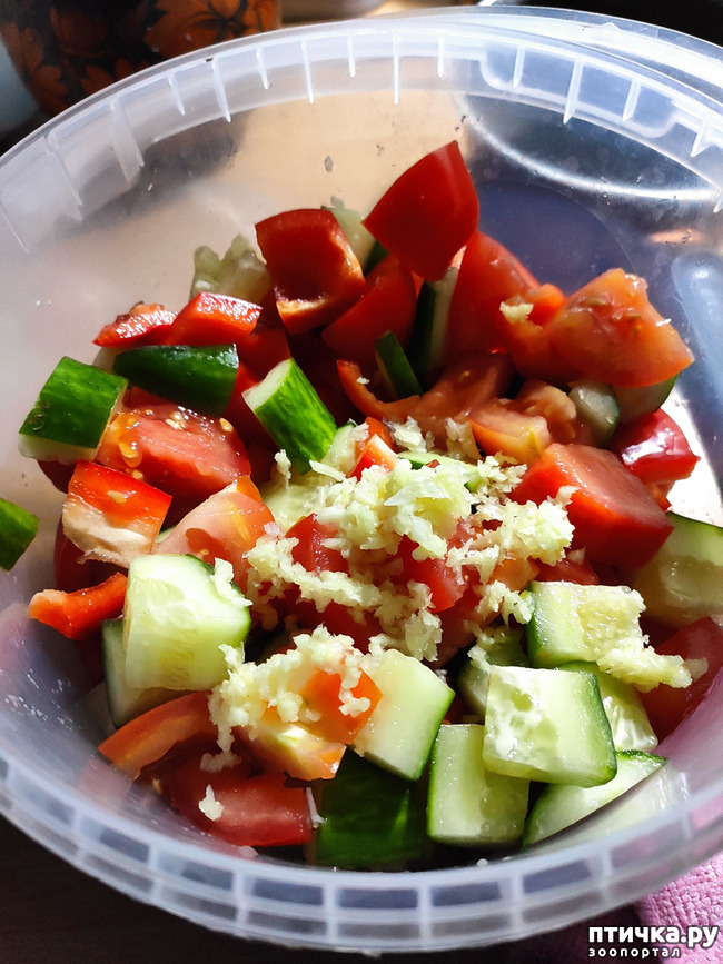 ���� 5: ��������