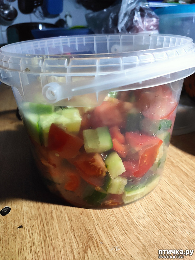 ���� 6: ��������