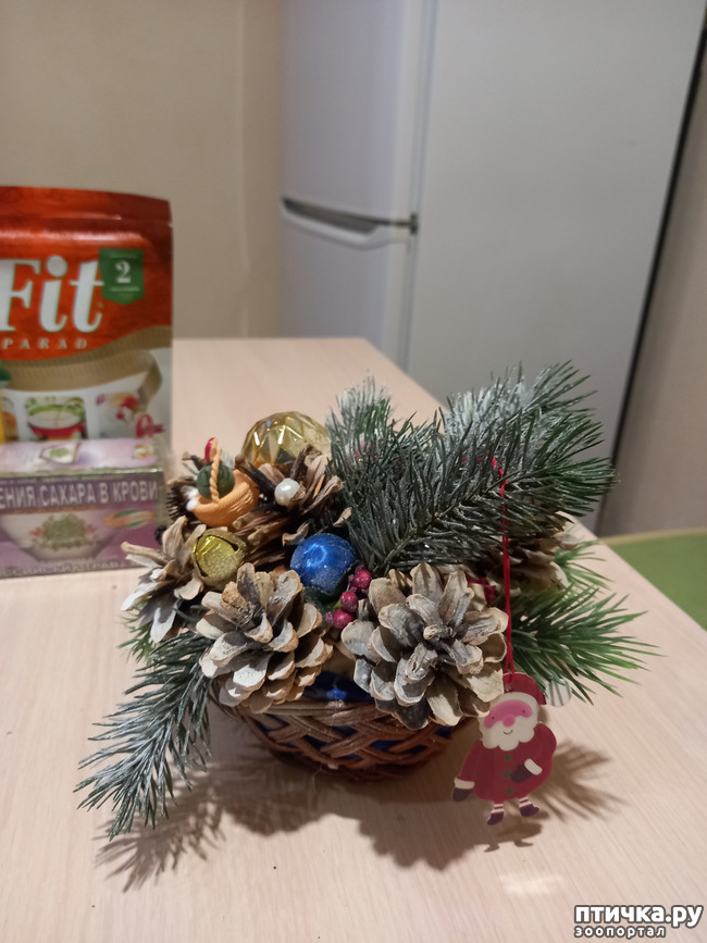 ���� 5: � ����� �������!!!)))