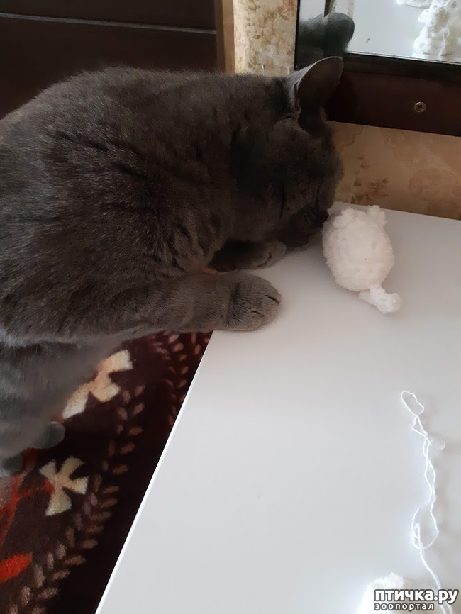 ���� 4: ����� ����������, ��� �����!