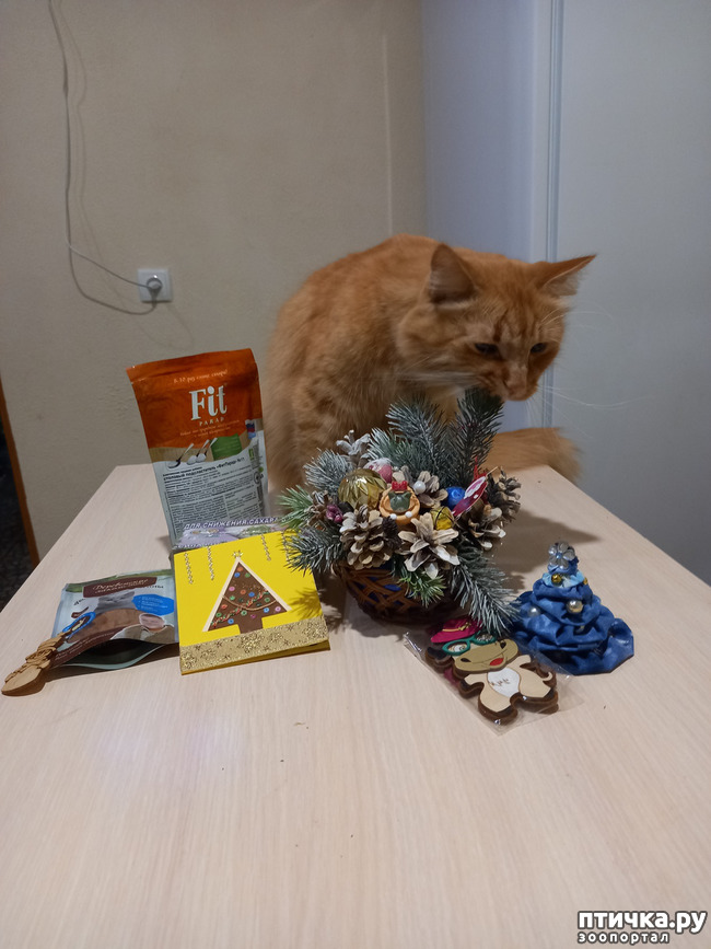 ���� 10: � ����� �������!!!)))