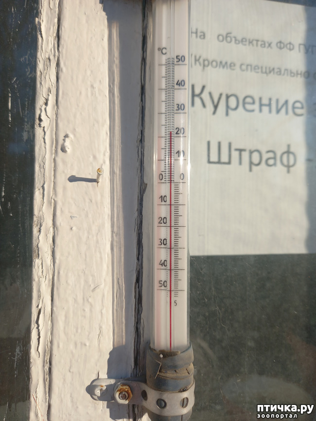 ���� 11: � ����� �������!!!)))