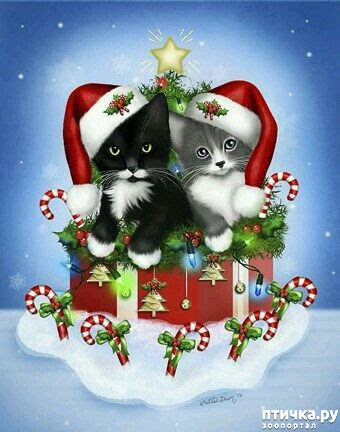 ���� 1: HAPPY NEW YEAR!!!