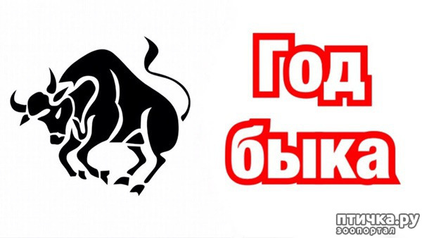 ���� 1: � ����� �����! � ����� ��������!