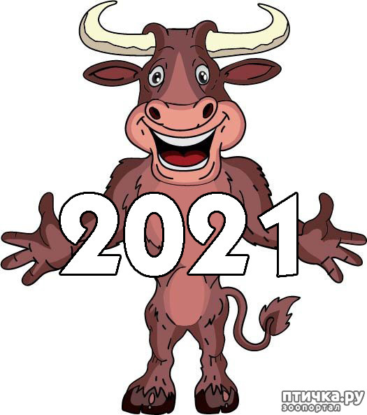 ���� 2: � ����� �����! � ����� ��������!