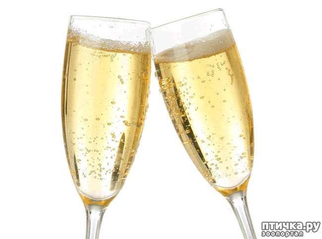 ���� 4: � ����� �����! � ����� ��������!