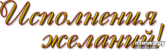 ���� 6: � ����� �����! � ����� ��������!