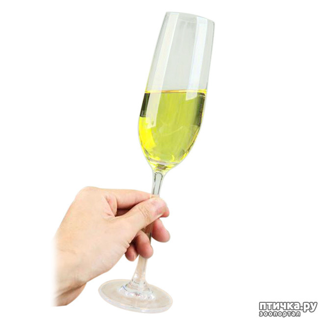 ���� 7: � ����� �����! � ����� ��������!